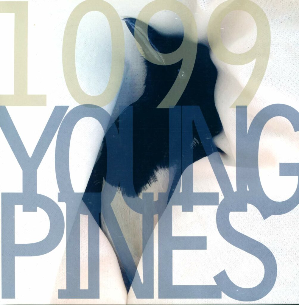 1099-Young Pines-LP (Vinyl)-01