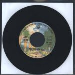 Alice Cooper-Wish You Were Here-7" Single (Vinyl)-03