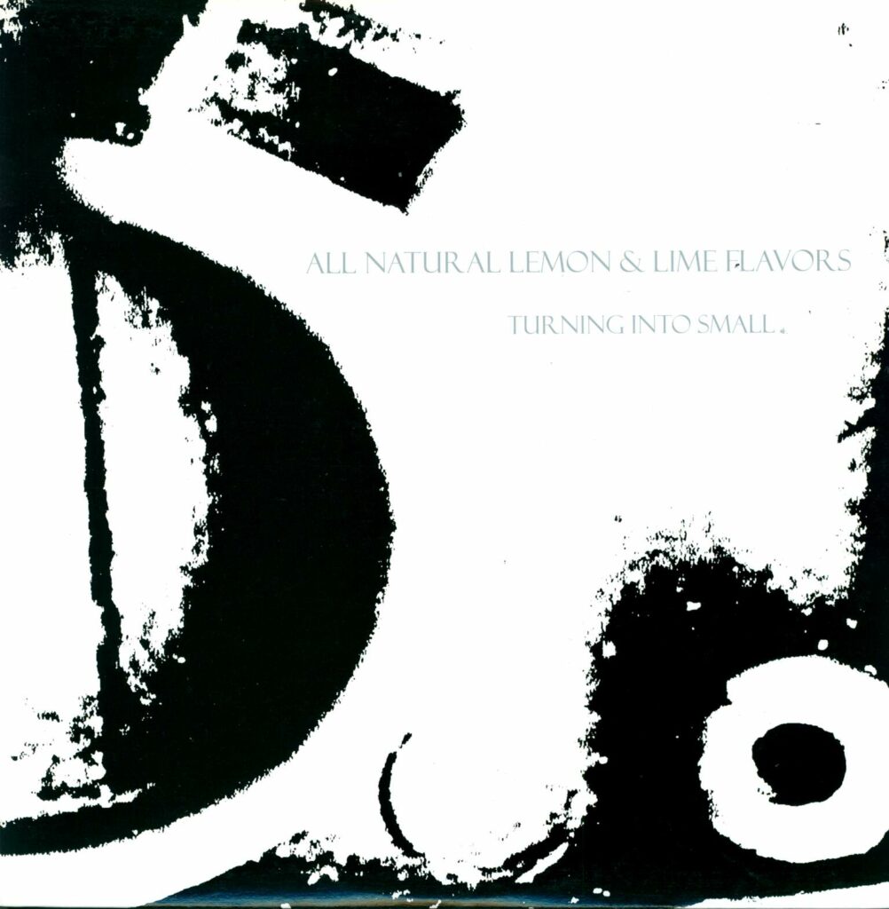 All Natural Lemon & Lime Flavors-Turning Into Small-LP (Vinyl)-01