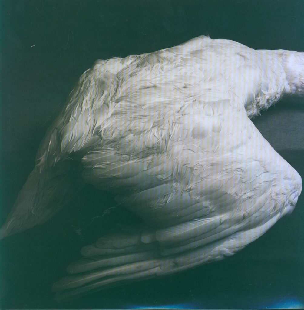 Amenra-Mass VI-LP (Vinyl)-01