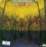 American Blues-Do Their Thing-LP (Vinyl)-01