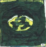 Animal Collective-Prospect Hummer-12" Maxi Single (Vinyl)-02