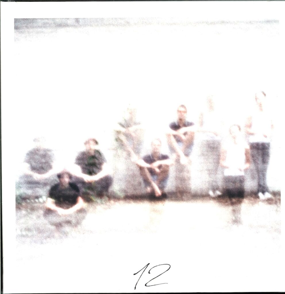 AnnenMayKantereit-12-LP (Vinyl)