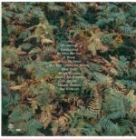 AnnenMayKantereit-Alles Nix Konkretes-LP (Vinyl)-02