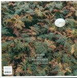 AnnenMayKantereit-Alles Nix Konkretes-LP (Vinyl)-01