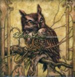 Austin Lucas-A New Home In The Old World-LP (Vinyl)-01