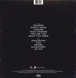 BRING ME THE HORIZON-That's The Spirit-LP (Vinyl)-02