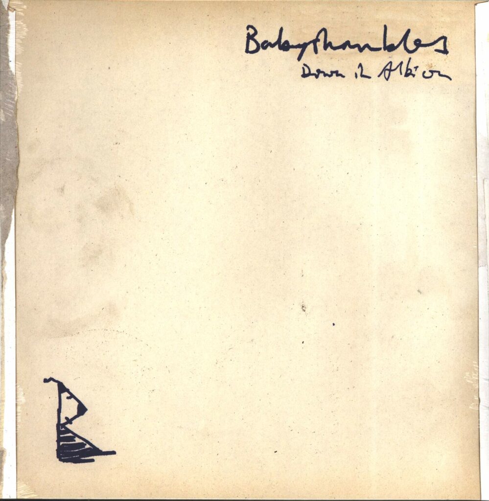 Babyshambles-Down In Albion-LP (Vinyl)-01
