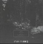 Bait-Sunburst-LP (Vinyl)-02