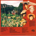 Bananagun-The True Story Of Bananagun-LP (Vinyl)-02