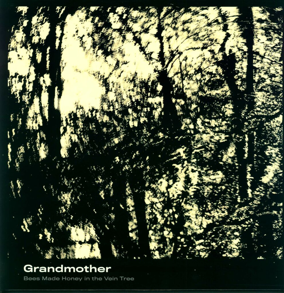Bees Made Honey In The Vein Tree-Grandmother-LP (Vinyl)-01