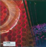 Belly-Bees-LP (Vinyl)-02