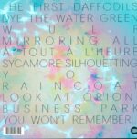 Bibio-Silver Wilkinson-LP (Vinyl)-02