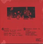 Bikini Kill-Revolution Girl Style Now-LP (Vinyl)-02