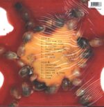 Blind Melon-Blind Melon-LP (Vinyl)-02