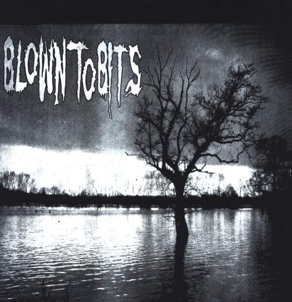 Blown To Bits-Blown To Bits Benefit Record-LP (Vinyl)-01
