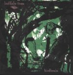 Buffalo Tom-Birdbrain-LP (Vinyl)-01