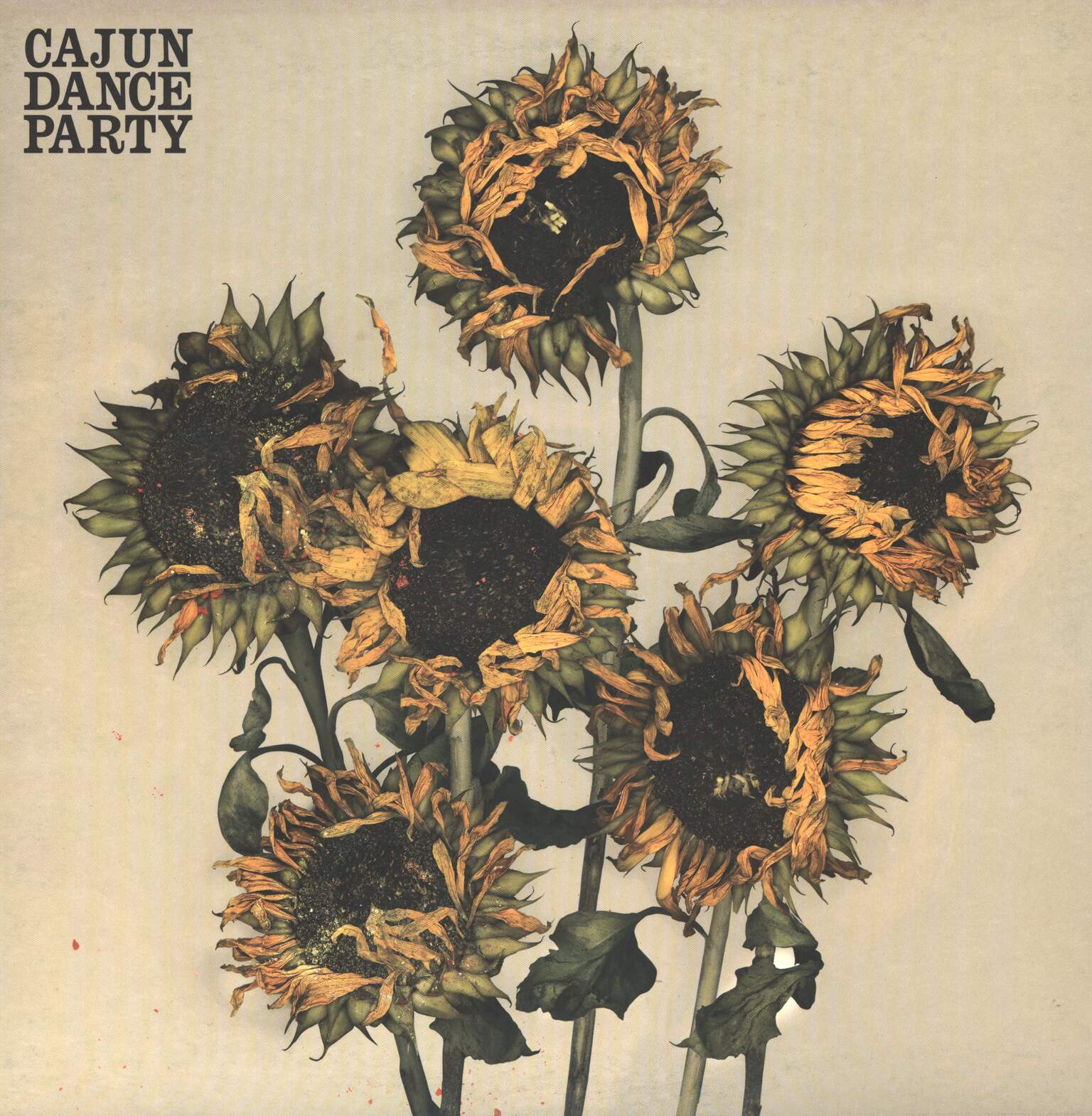 Cajun-Dance-Party-The-Colourful-Life-LP-Vinyl Cajun Dance Party-The Colourful Life-LP (Vinyl)-01