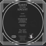 Chamber-Slaves To The Locust-10" Vinyl-02