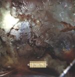 Cocteau Twins-Head Over Heels-LP (Vinyl)-01