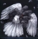 Converge-The Poacher Diaries-12" Maxi Single (Vinyl)-01