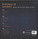 Counting Crows-Underwater Sunshine (Or What We Did On Our Summer Vacation)-LP (Vinyl)-02
