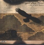 Crippled Black Phoenix-A Love Of Shared Disasters-LP (Vinyl)-02