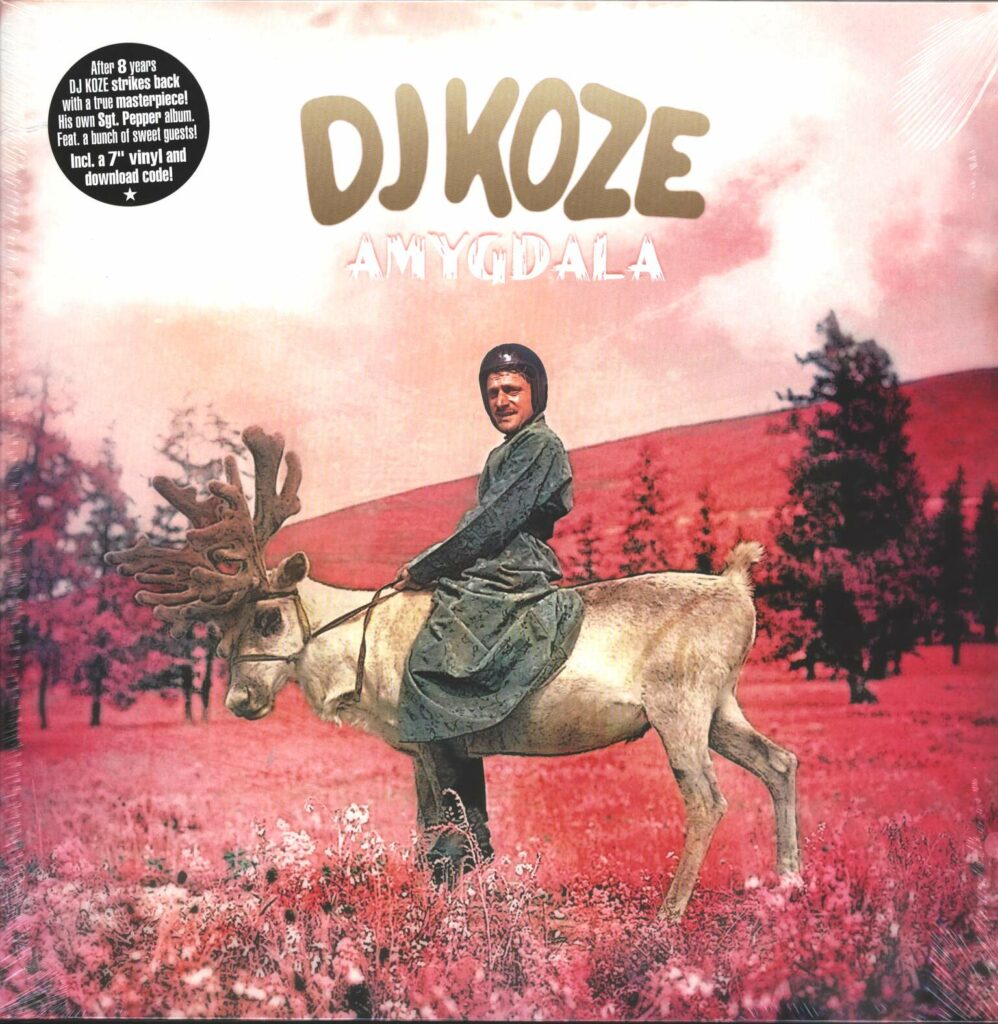 DJ Koze-Amygdala-LP (Vinyl)-01