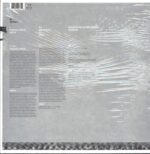 Dance Disaster Movement-Snow On The Tv-12" Maxi Single (Vinyl)-02
