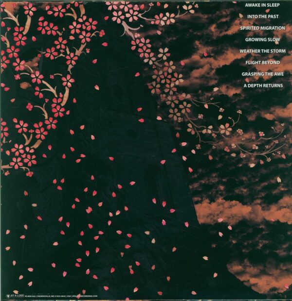 Dark Castle-Spirited Migration-LP (Vinyl)-02