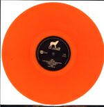 De Staat-Wait For Evolution-LP (Vinyl)-03