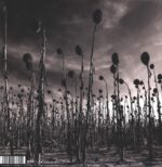 Dead Can Dance-Anastasis-LP (Vinyl)-02