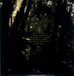 Dead Meadow-Old Growth-LP (Vinyl)-02