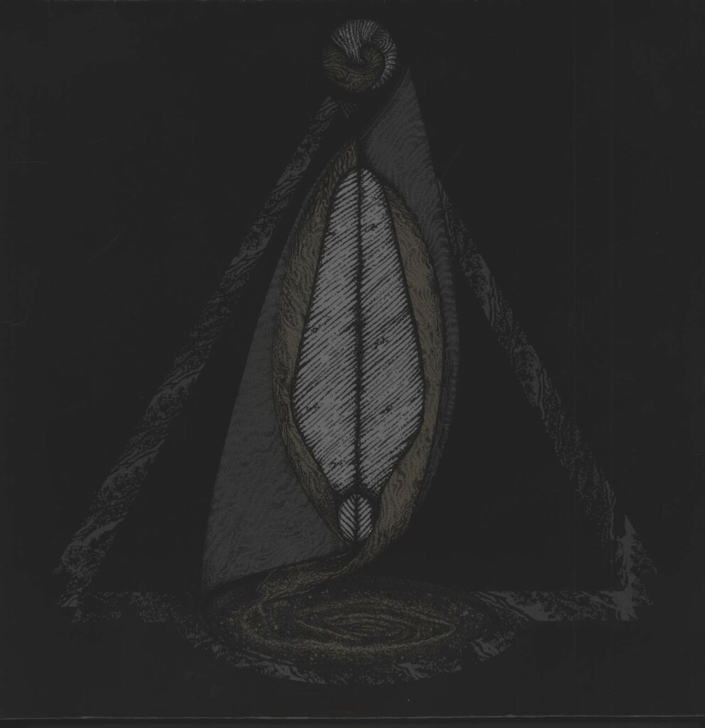 Dephosphorus-Night Sky Transform-LP (Vinyl)-01