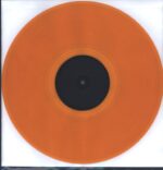 Destroyed In Seconds-Critical Failure-LP (Vinyl)-03