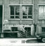 Socken Fly-LP (Vinyl)-01