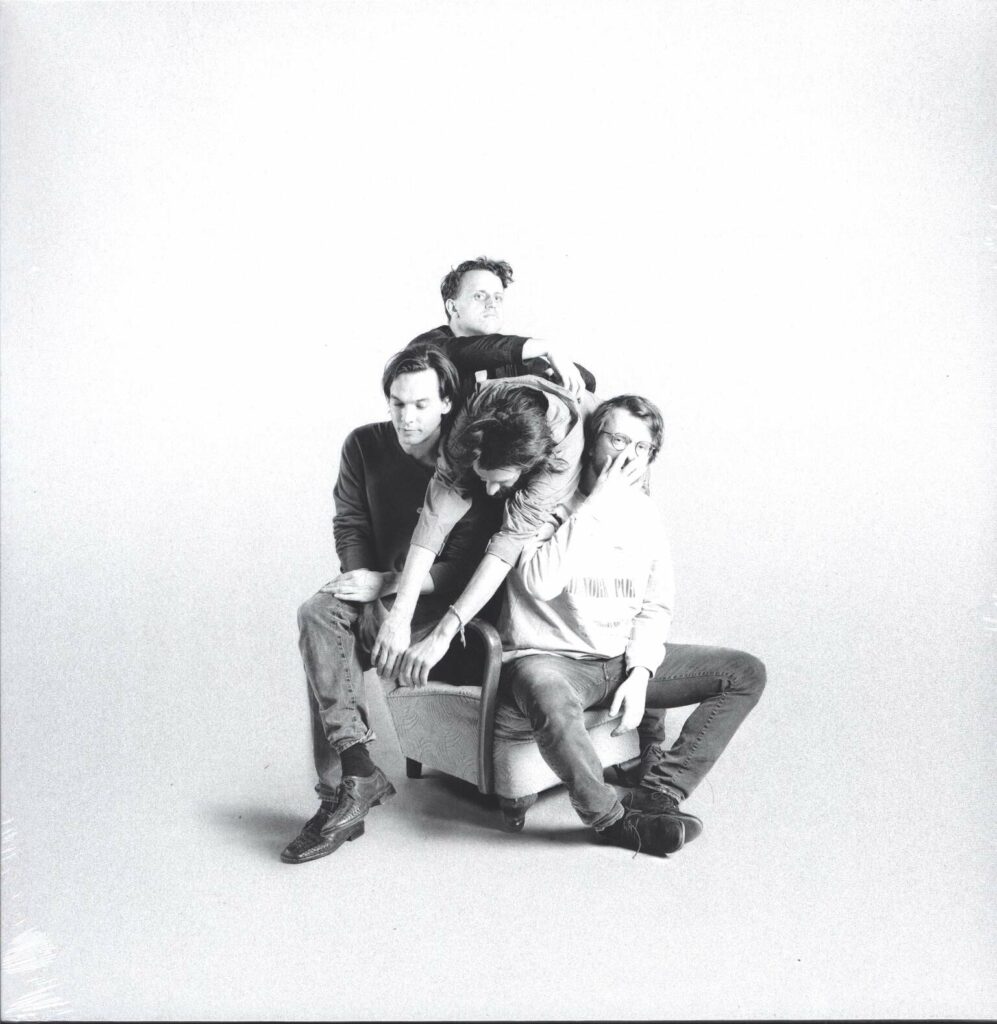 Die Höchste Eisenbahn-Wer Bringt Mich Jetzt Zu Den Anderen-LP (Vinyl)-01