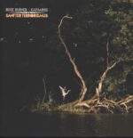 Dixie Burner-Sanfter Terrorismus-LP (Vinyl)-01