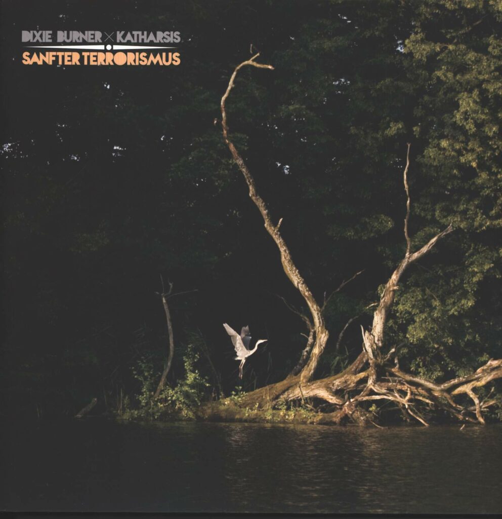 Dixie Burner-Sanfter Terrorismus-LP (Vinyl)-01