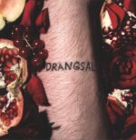 Drangsal-Harieschaim-LP (Vinyl)-01