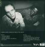 Dub Syndicate-Displaced Masters-LP (Vinyl)-02