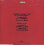 Elton John-Wonderful Crazy Night-LP (Vinyl)-02