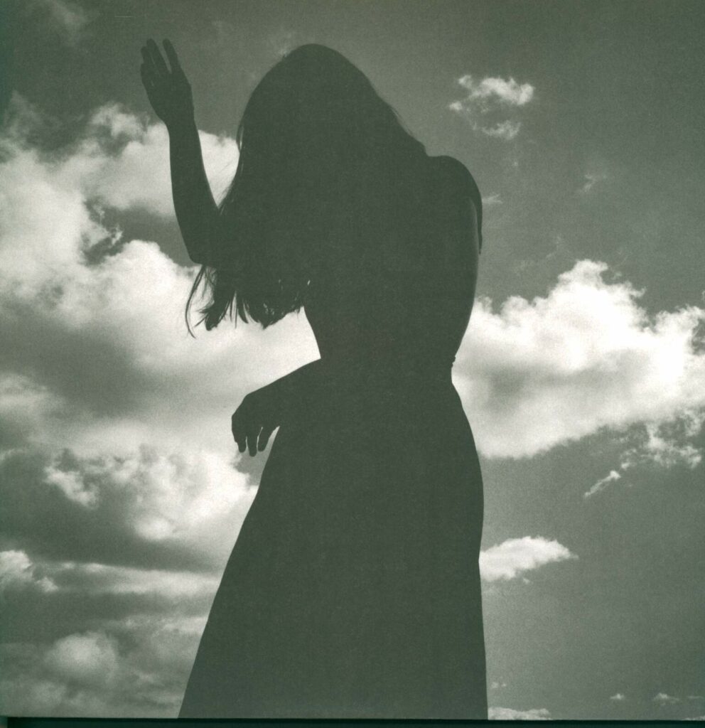 Emily Jane White-They Moved In Shadow All Together-LP (Vinyl)-01