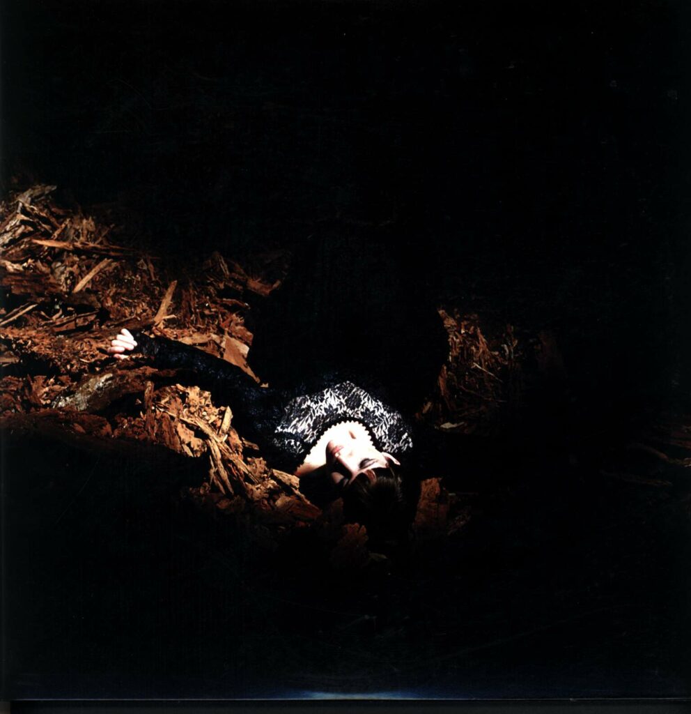 Emily Jane White-Victorian America-LP (Vinyl)-01