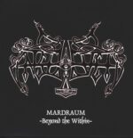 Enslaved-Mardraum -Beyond The Within--LP (Vinyl)-01