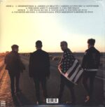 Fall Out Boy-American Beauty / American Psycho-LP (Vinyl)-02