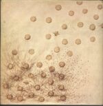 Family-Anyway-LP (Vinyl)-02
