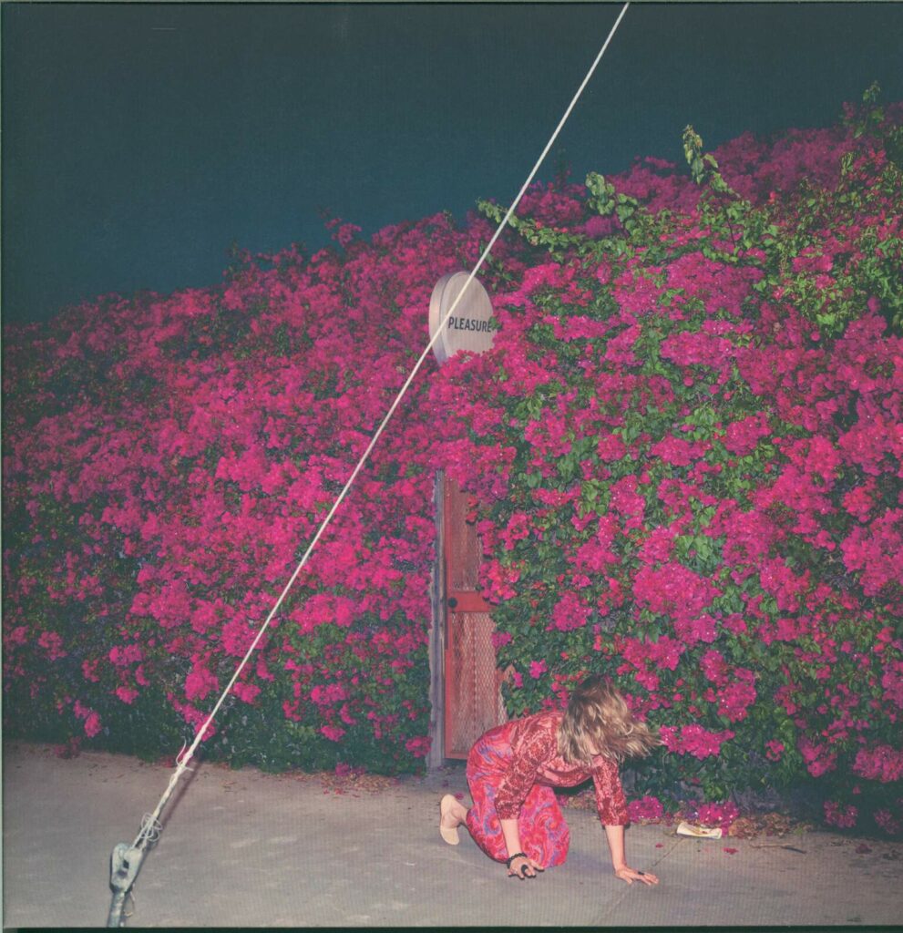 Feist-Pleasure-LP (Vinyl)-01
