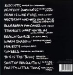 Fink-Wheels Turn Beneath My Feet-LP (Vinyl)-02