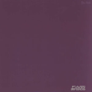 Flower Leperds-Purple Reign-LP (Vinyl)-01